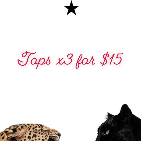 Meet your Posher, Juicebox - Picture 5 of 8